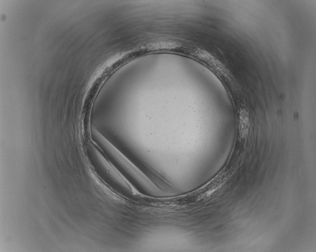 X0000075840726200610151544