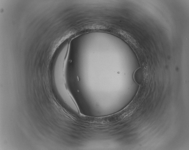 X0000075840727200610151544