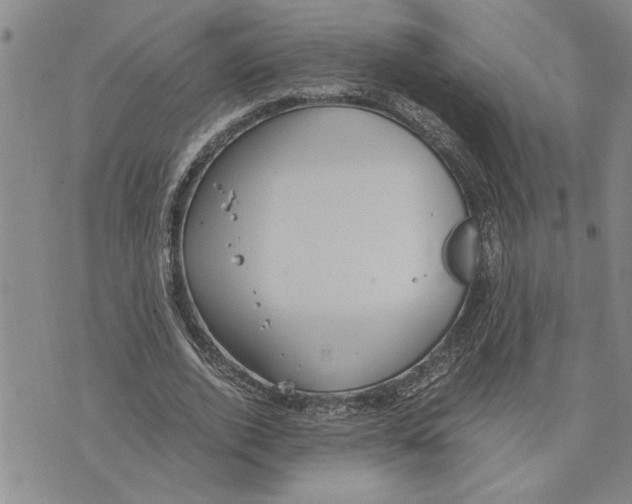 X0000075840728200610151544