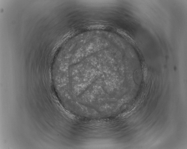 X0000075840729200610151544