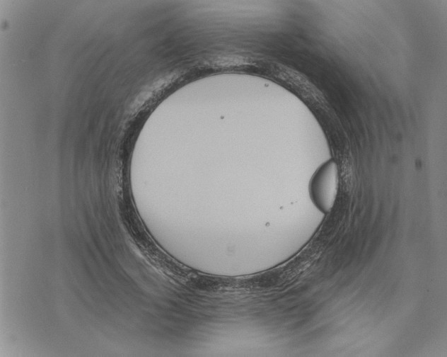 X0000075840732200610151544