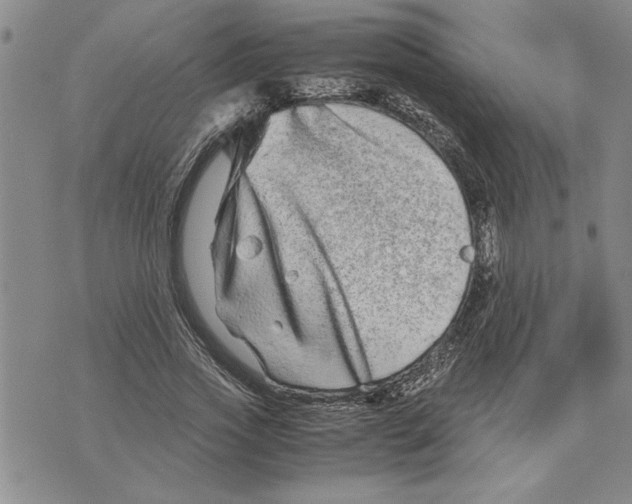 X0000075840733200610151544