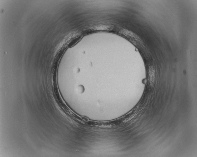 X0000075840734200610151544