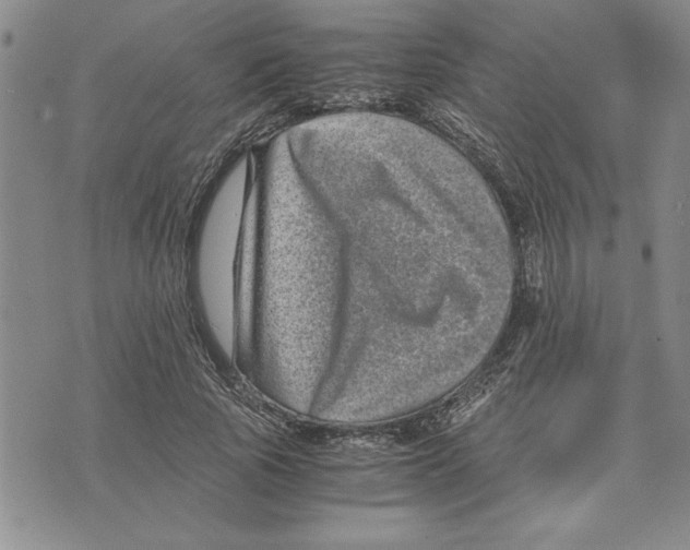 X0000075840737200610151544