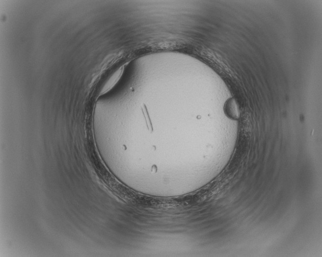 X0000075840738200610151544