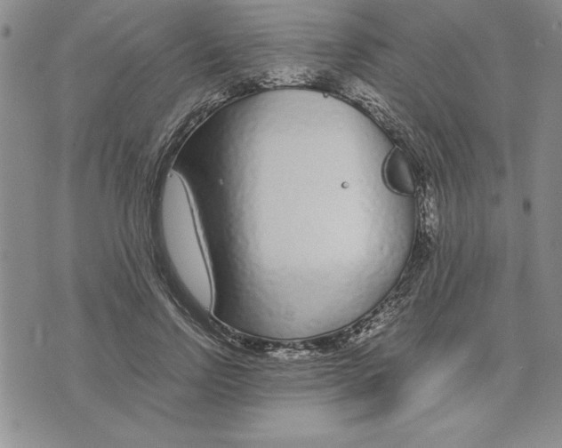 X0000075840742200610151544