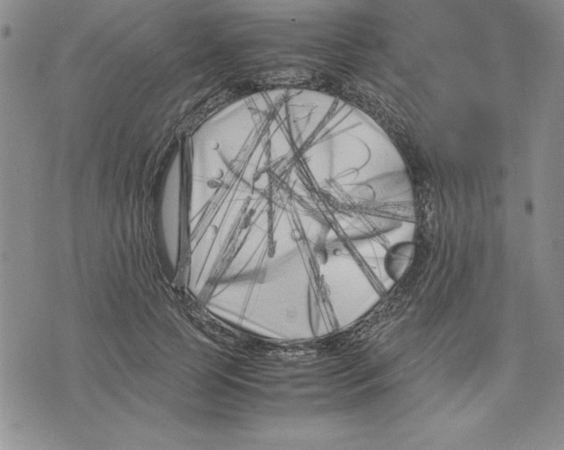 X0000075840745200610151544