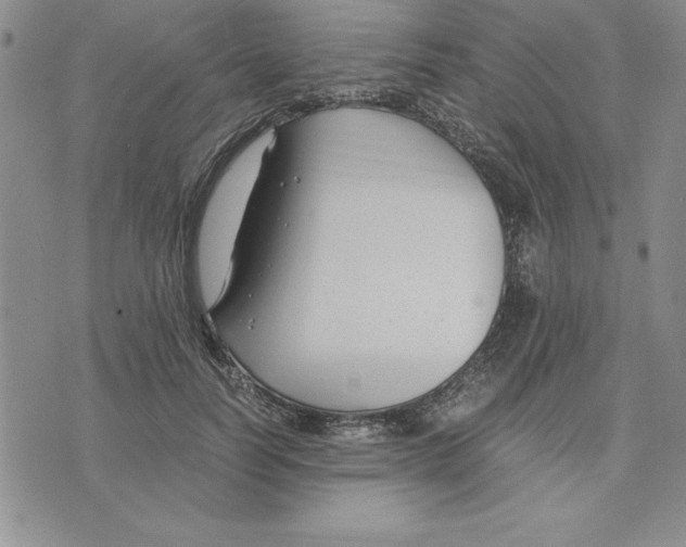 X0000075840746200610151544