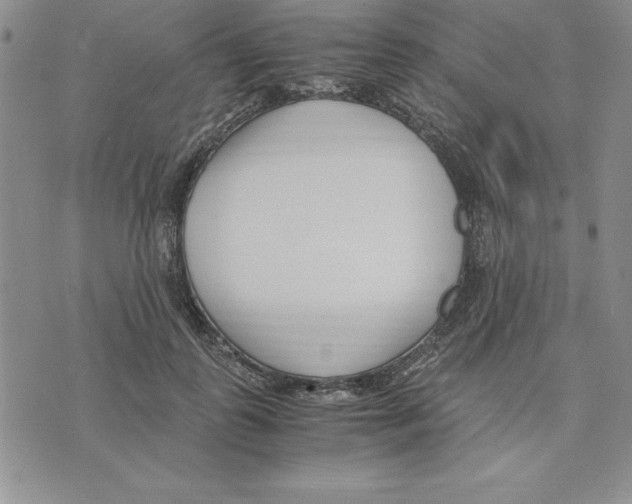 X0000075840747200610151544