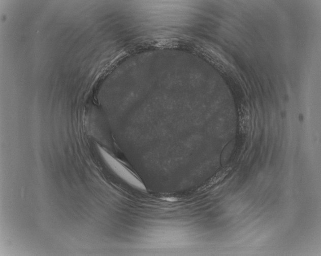 X0000075840748200610151544