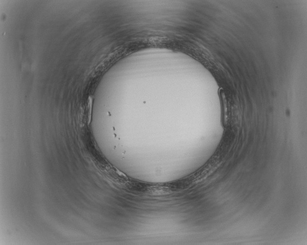 X0000075840750200610151545