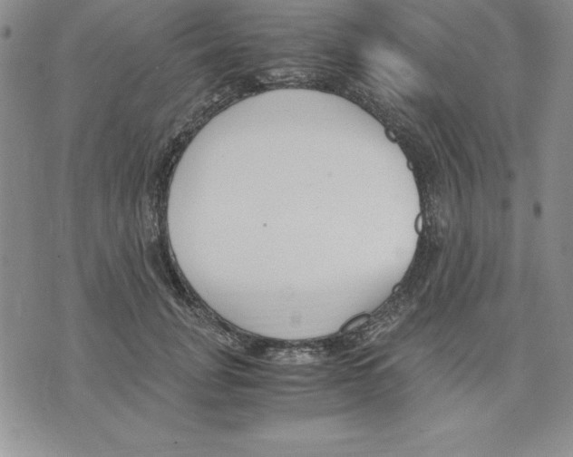 X0000075840751200610151545