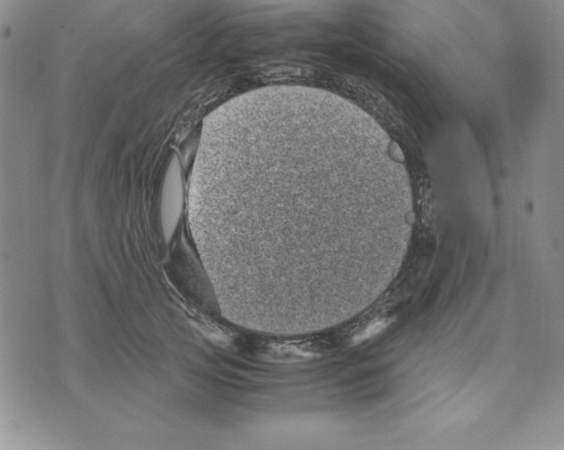 X0000075840753200610151545