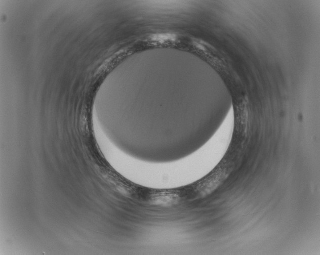 X0000075840754200610151545