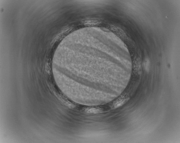 X0000075840755200610151545