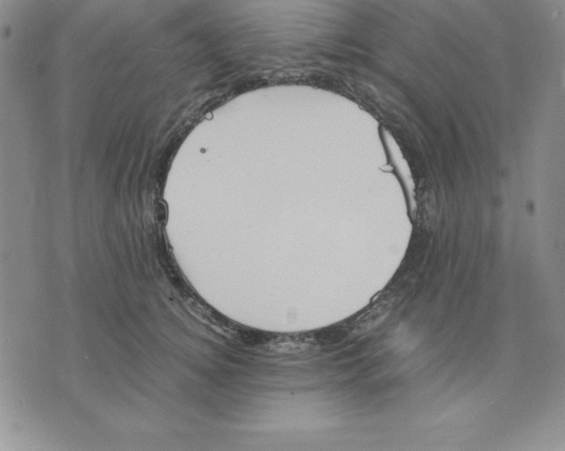 X0000075840756200610151545