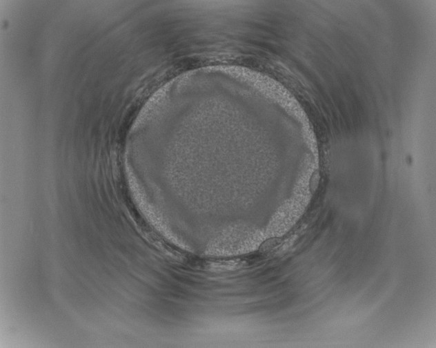 X0000075840757200610151545