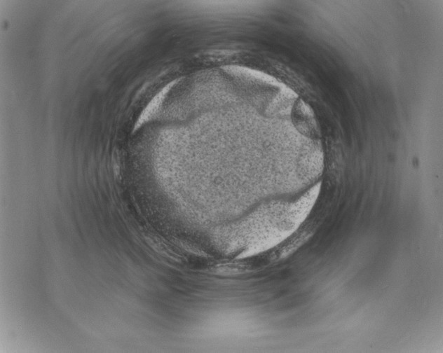 X0000075840758200610151545