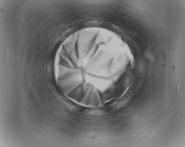 X0000075840759200610151545