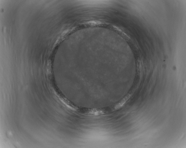 X0000075840760200610151545