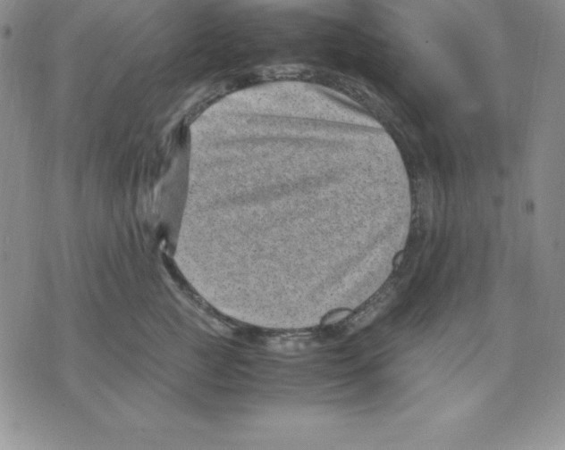 X0000075840761200610151545