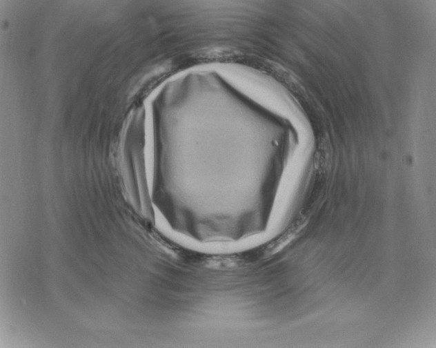 X0000075840762200610151545