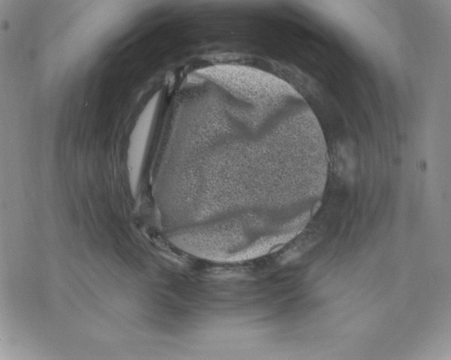 X0000075840763200610151545