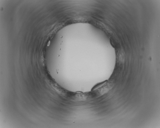 X0000075840764200610151545