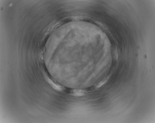 X0000075840766200610151545