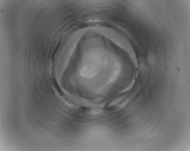 X0000075840767200610151545