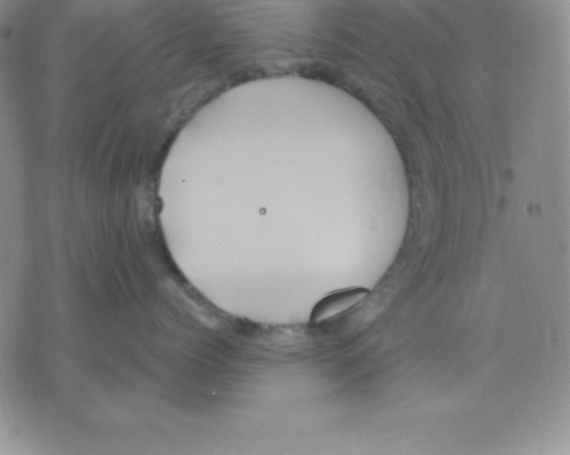 X0000075840768200610151545