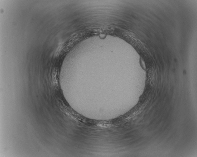 X0000075840770200610151544