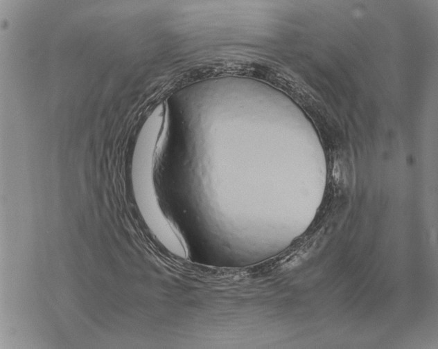 X0000075840771200610151544