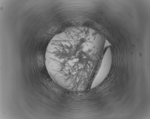 X0000075840772200610151544