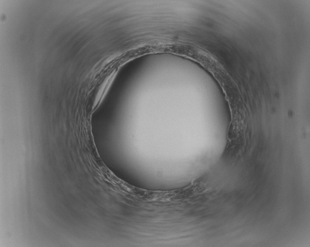 X0000075840773200610151544