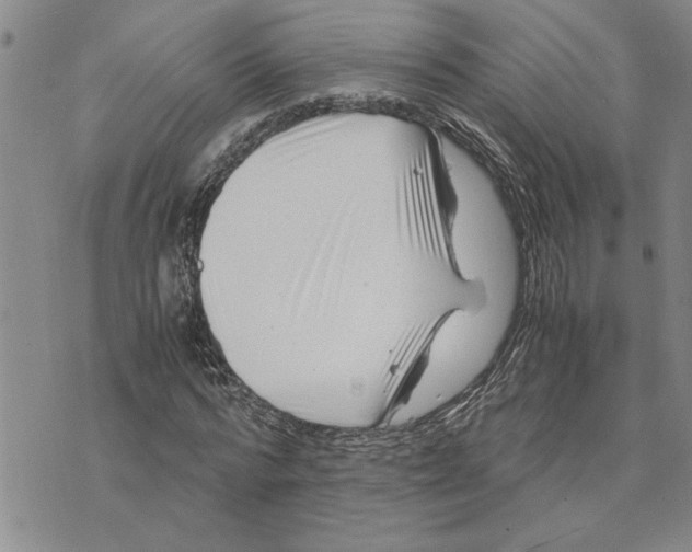 X0000075840776200610151544