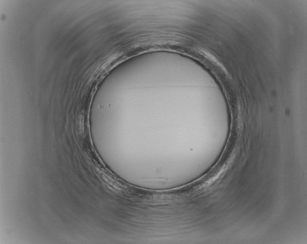 X0000075840777200610151544