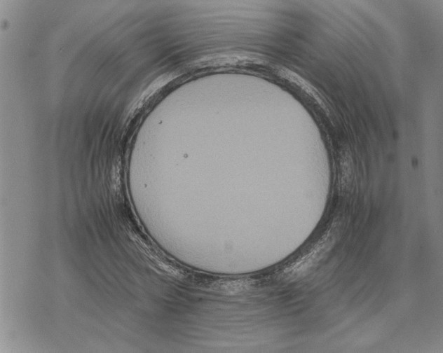 X0000075840778200610151544