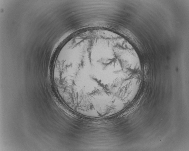 X0000075840780200610151544