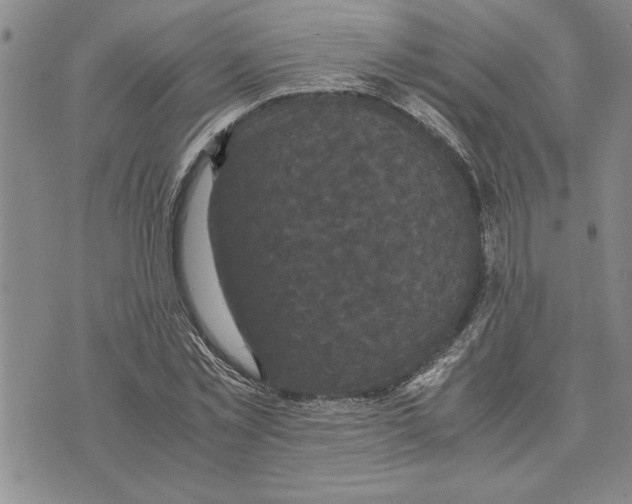 X0000075840781200610151544