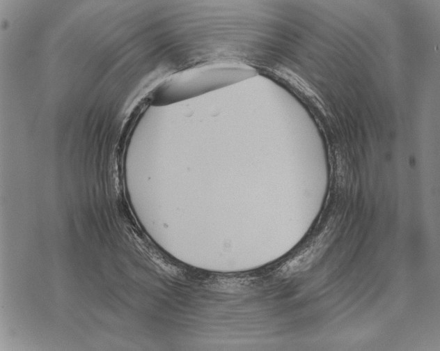 X0000075840782200610151544