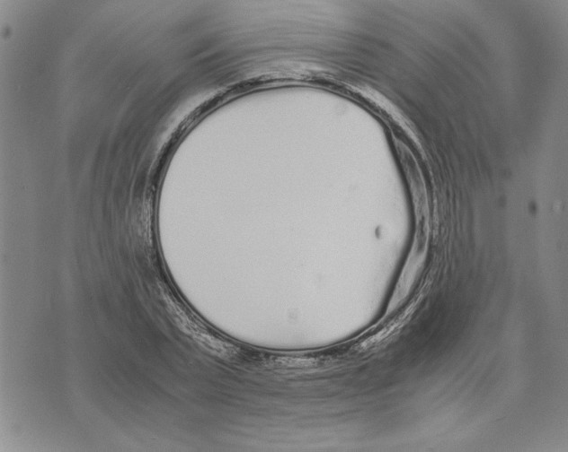 X0000075840783200610151544