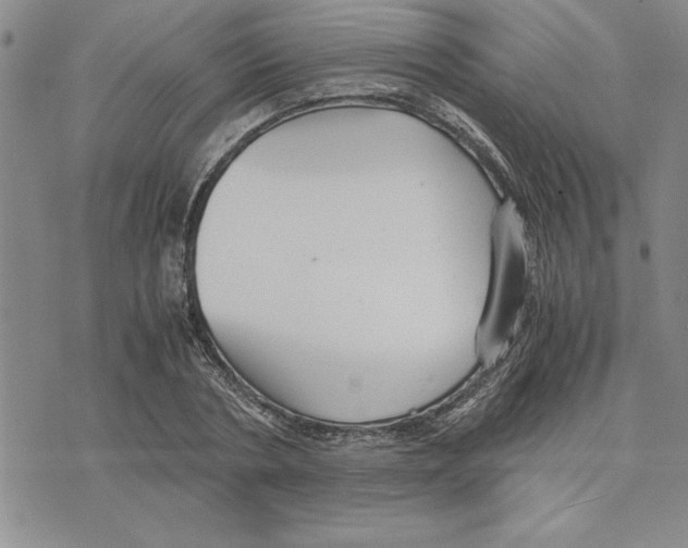 X0000075840786200610151544