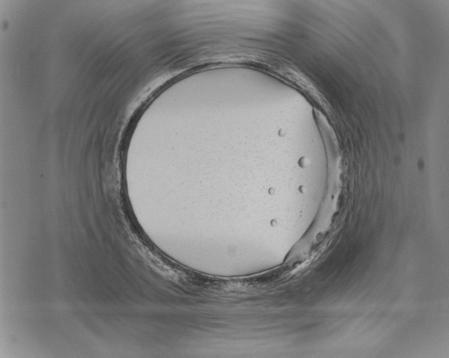 X0000075840787200610151544