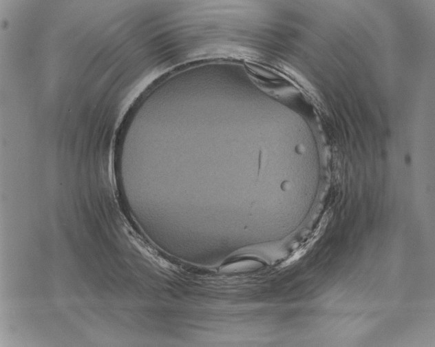 X0000075840788200610151544