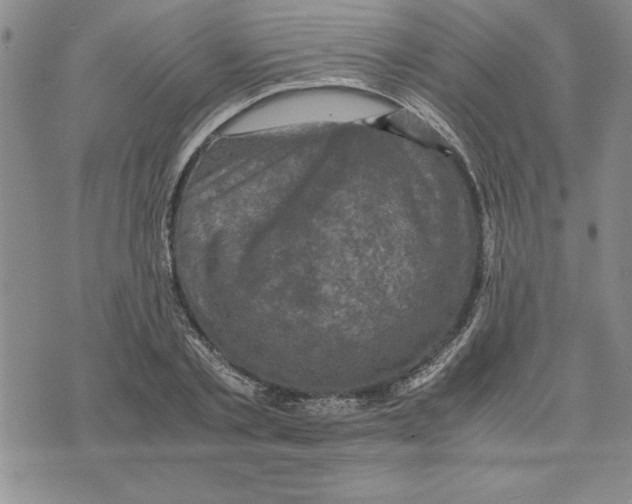 X0000075840789200610151544