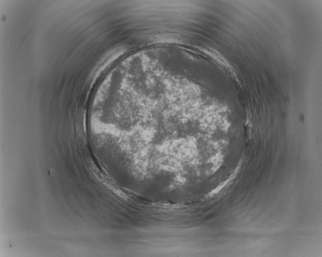 X0000075840790200610151544