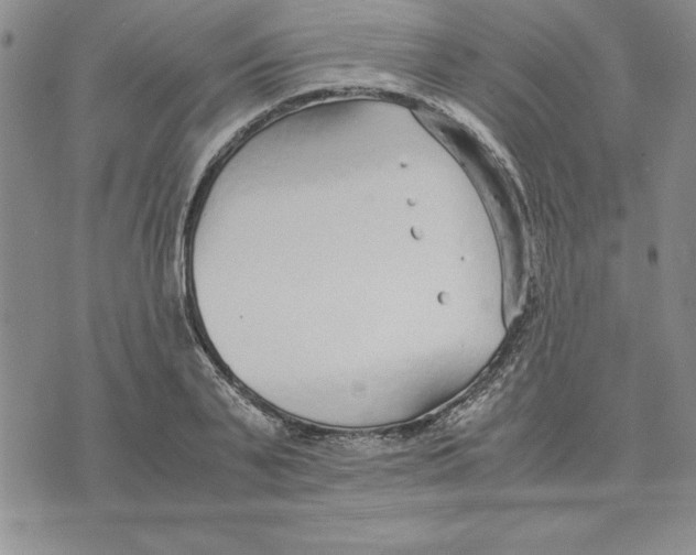 X0000075840791200610151544