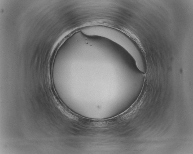 X0000075840792200610151544