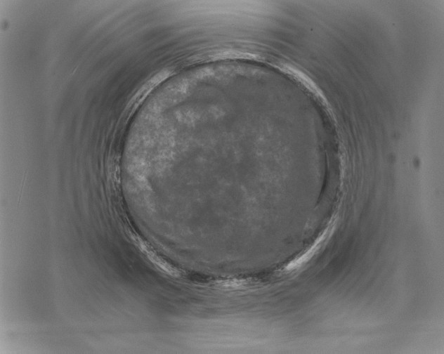 X0000075840793200610151544